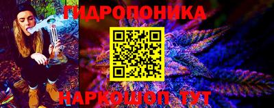 стаф Краснодар