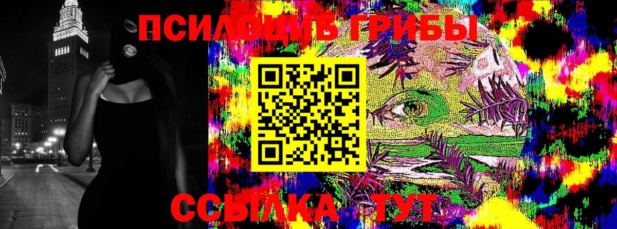 Галлюциногенные грибы Cubensis  Псилоцибиновые грибы мицелий  Балтийск  Вход с VPN 